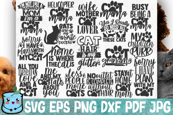 As a Designer, My Honest Take on the Cat Mom Bundle